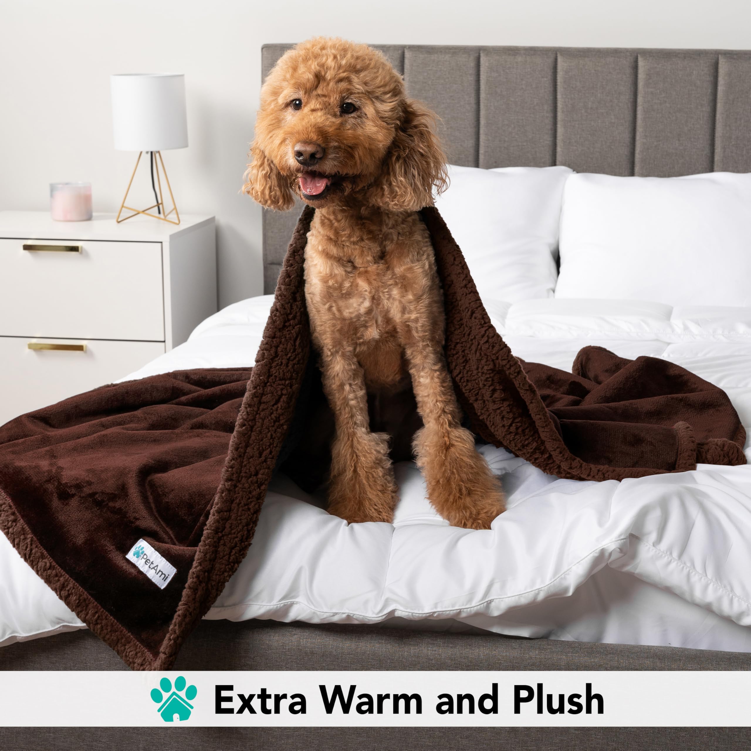 Petami Dog Blanket For Small Medium Dogs, Pet Bed Blanket Cat Puppy Kitten, Fleece Furniture Couch Cover Protector Sofa Car, Sof